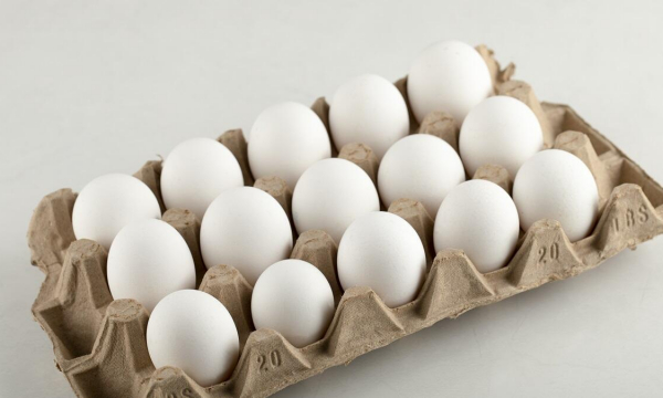 5 необычных способов использовать лотки из-под яиц: шкатулка и горшок для семян — выгодно и удобно