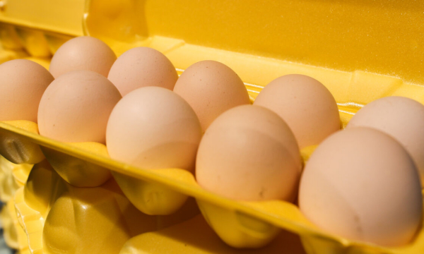 Почему яйца нужно варить в фольге: век живи — век учись