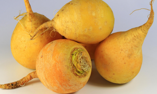 Этот овощ — кладезь витаминов: предки ели килограммами и горя не знали