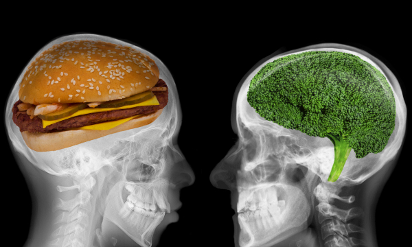Какая еда ускоряет старение мозга: входит в ежедневный рацион многих людей во всем мире